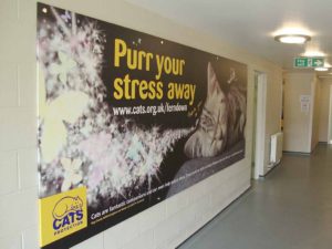 Cats Protection wall graphics